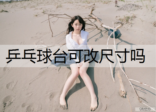 乒乓球台可改尺寸吗
