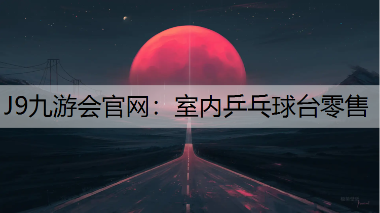 室内乒乓球台零售