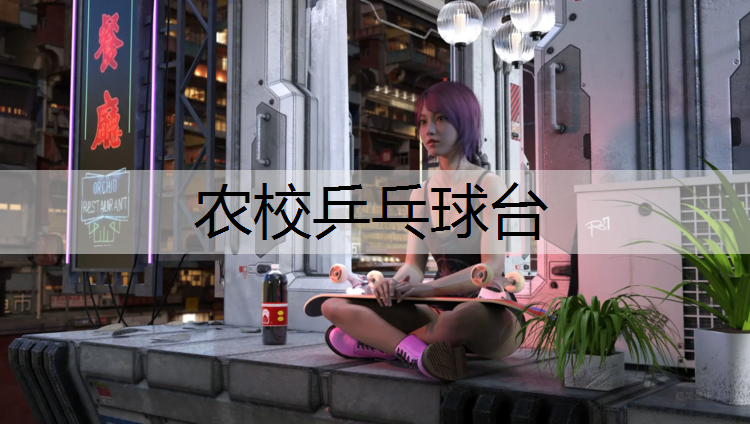 农校乒乓球台