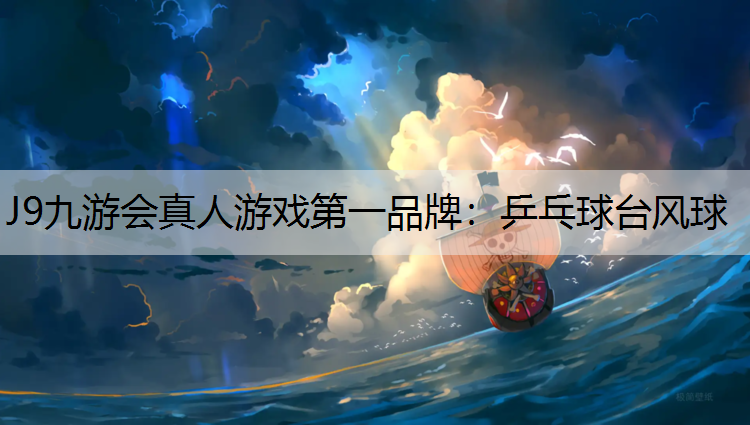 乒乓球台风球